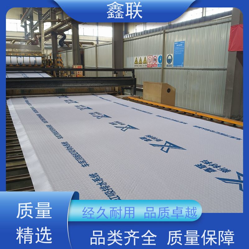 鑫联 排蓄水异形片 有序虹吸排水系统 建筑工程 厂家