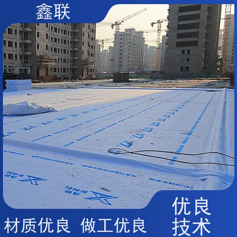 鑫联 排蓄水异形片 有序虹吸排水系统 优化设计 包工