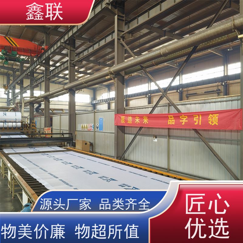 鑫联 排蓄水异形片 有序虹吸排水系统 建筑工程 海绵城市