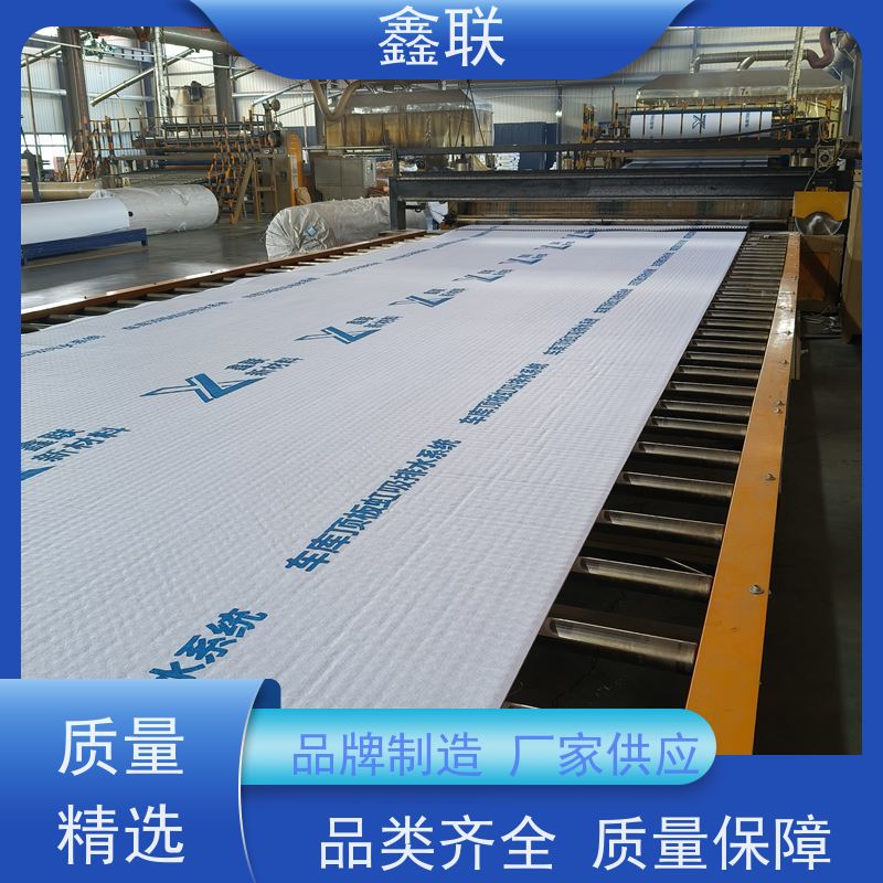 鑫联 双面排蓄水异形片 防护虹吸排水收集系统 施工指导 厂家