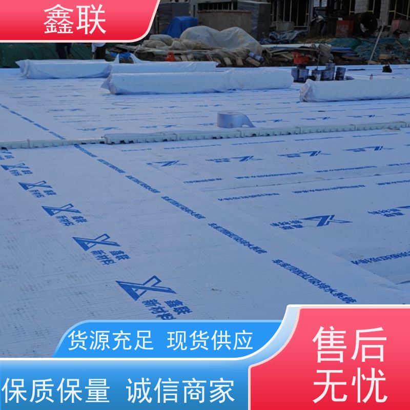 鑫联 排蓄水异形片 虹吸排水系统 支持验厂 可定制