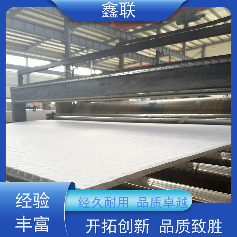 鑫联 排蓄水异形片 有序虹吸排水系统 支持验厂 包工