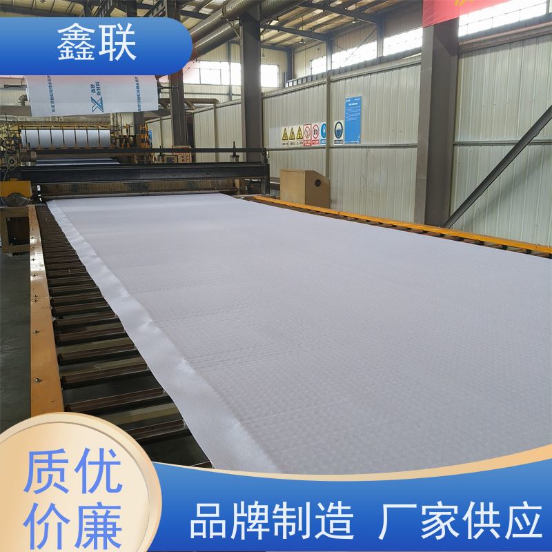 鑫联 虹吸排水板绿化工程用 承接工程订单白色卷材异型片 海绵城市