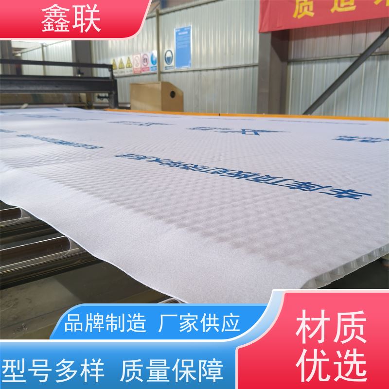 虹吸排水系统 H25mm双面抗压排水异形片 土工布