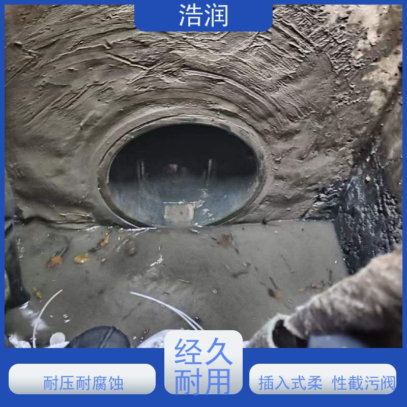 浩润 不锈钢管中型内置防倒灌器 防止水回流 诚信经营