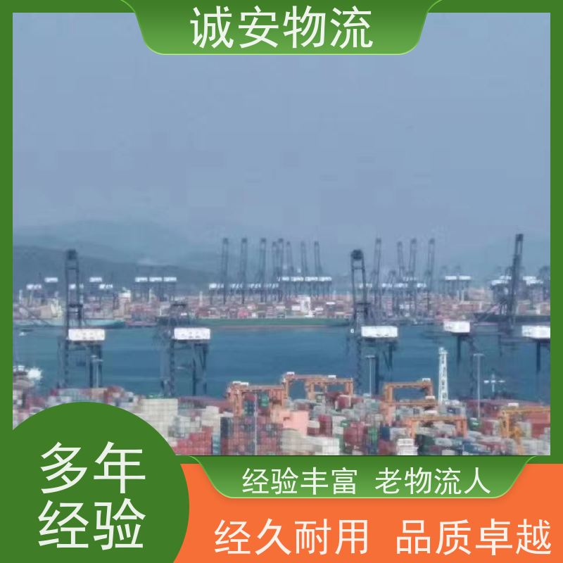 诚安物流40尺自备柜河源到东莞专人跟单一天到