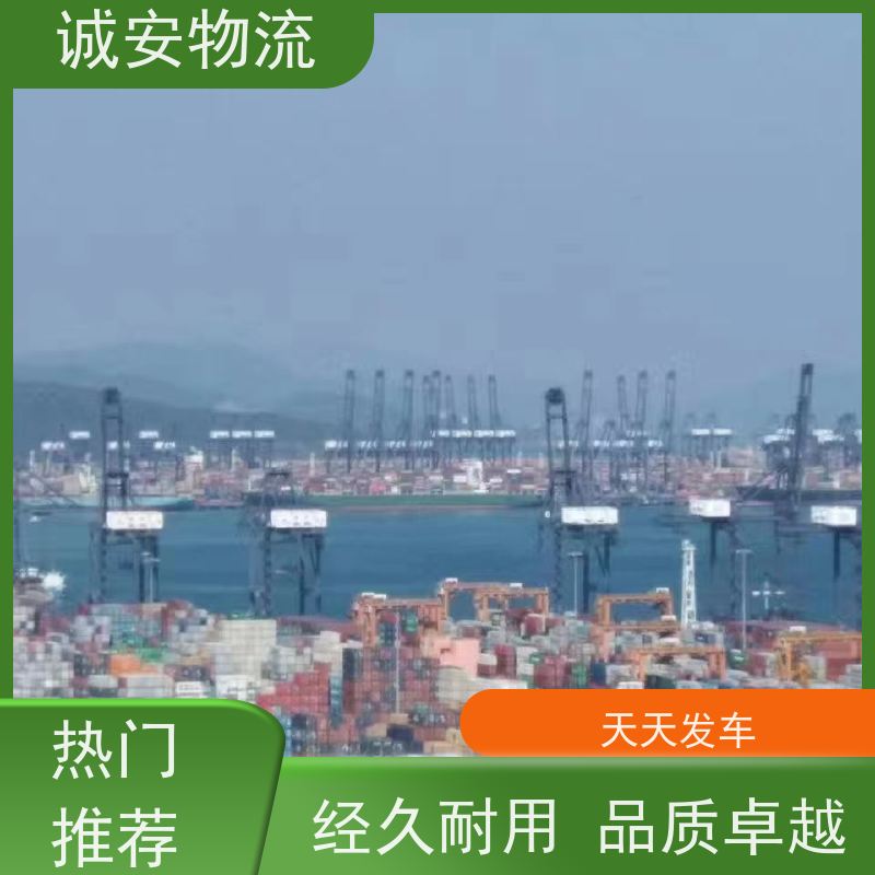 诚安物流40尺自备柜阳江到东莞进口报关随时发车