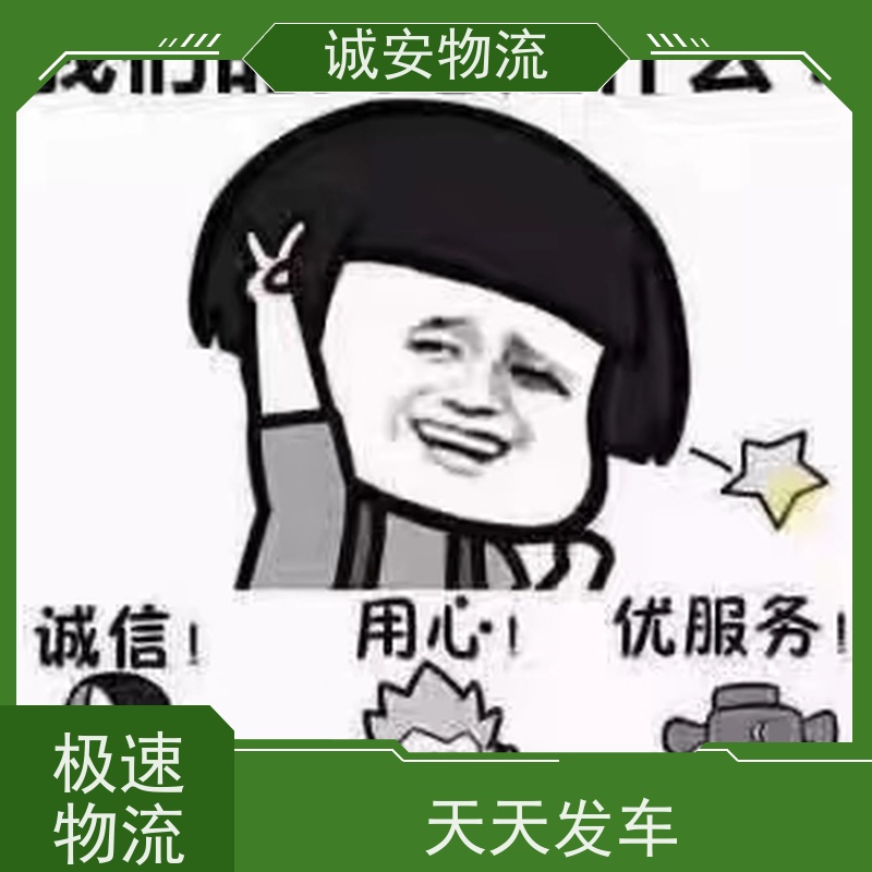 诚安物流10吨车河源到深圳一般贸易买单报关随时发车
