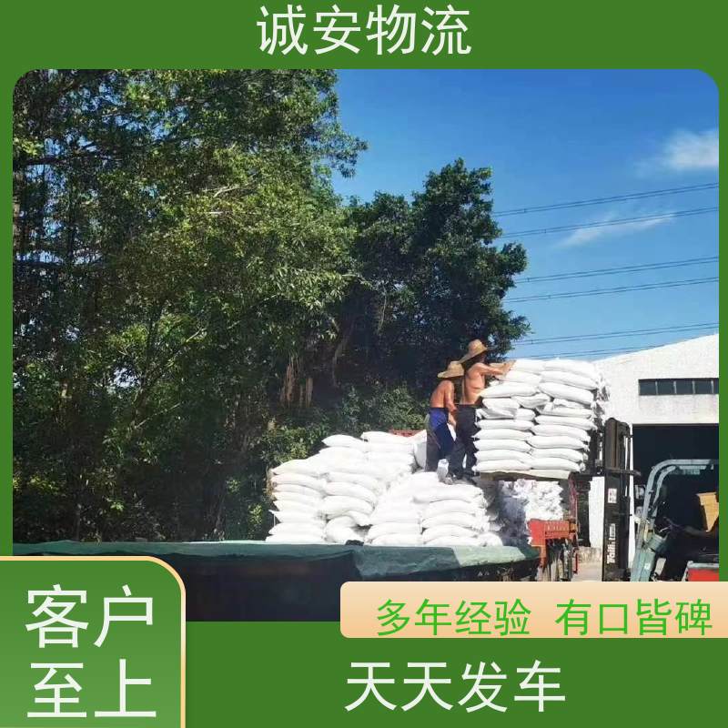诚安物流40尺自备柜惠州到香港报关随时发车