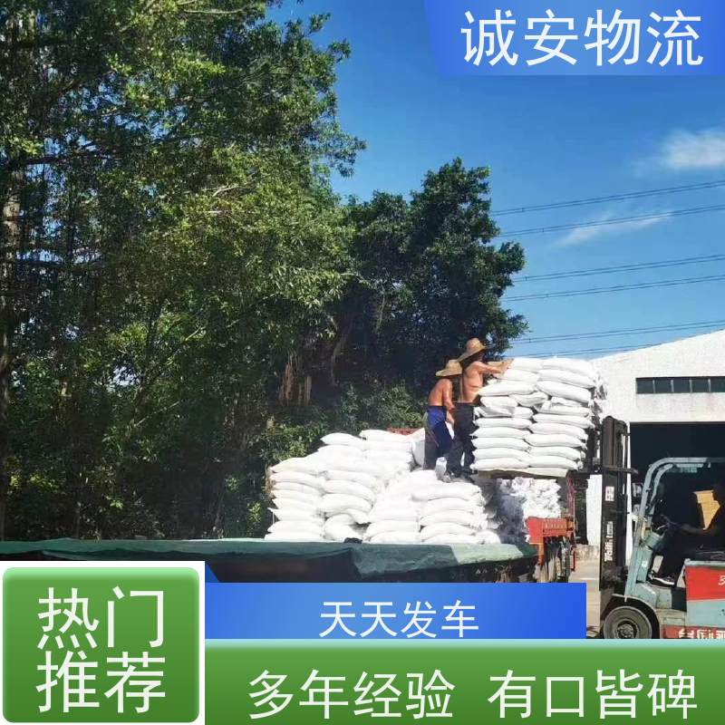 诚安物流5吨车东莞到香港散货快运门到门天天发车
