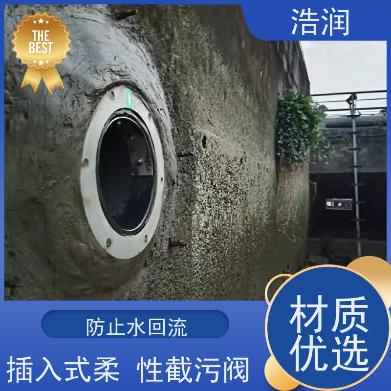浩润 长期供应 管中型防倒灌器 304不锈钢 品质可信