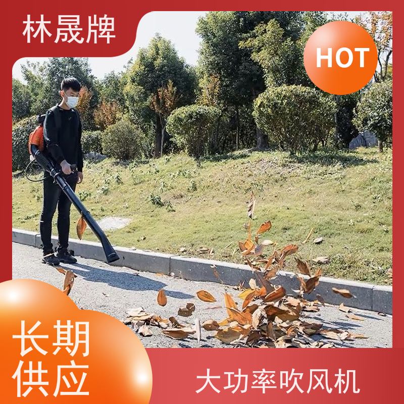 林晟牌 工地清理用吹灰机 吹雪机 携带方便 使用效果好 支持定制