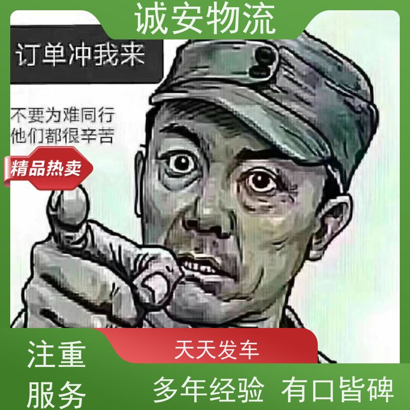 诚安物流12吨车惠州到香港专人跟单随时发车