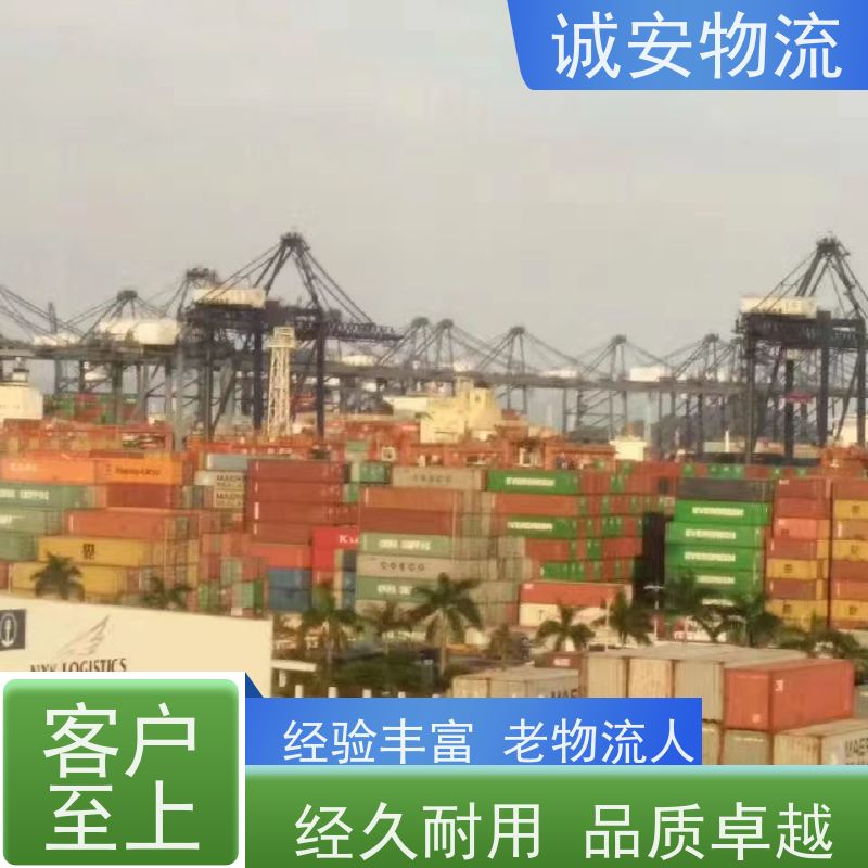 诚安物流40尺自备柜广州到澳门一般贸易买单报关次日到