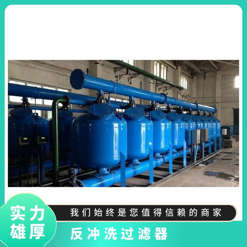 反冲洗过滤器 循环水安装图纸 型号HTFC-1252.0 励进 LJAGF48-1