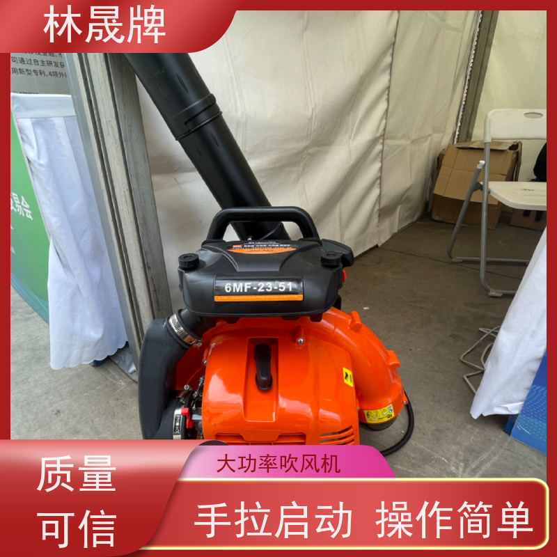 林晟牌 马路树叶吹风机 灭火器 6MF-23-51 库存充足