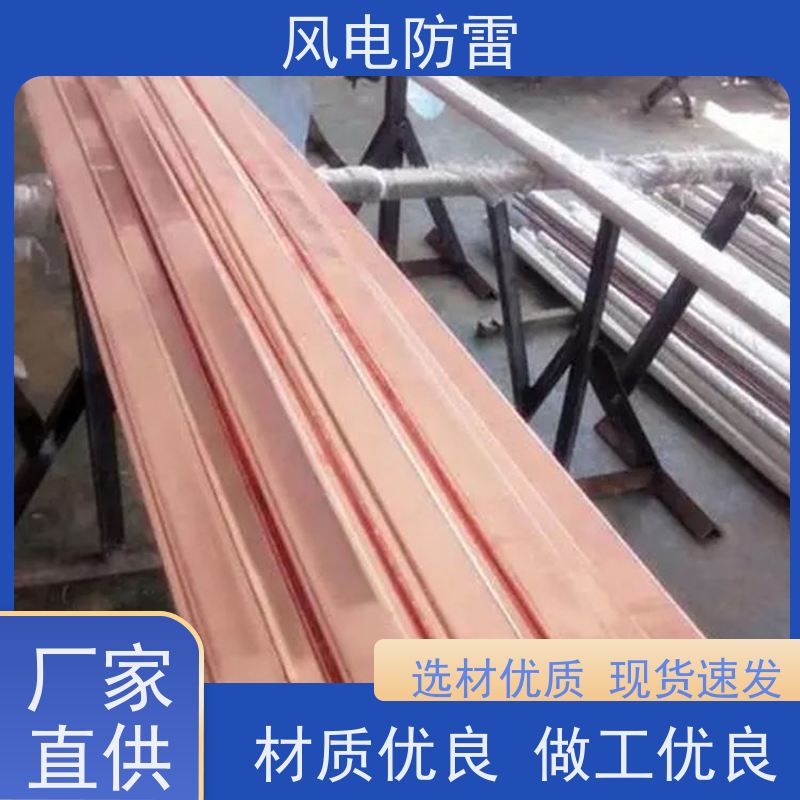风电防雷 支持定做 延长使用寿命 阻非 金 属材料 25*4mm镀铜扁钢