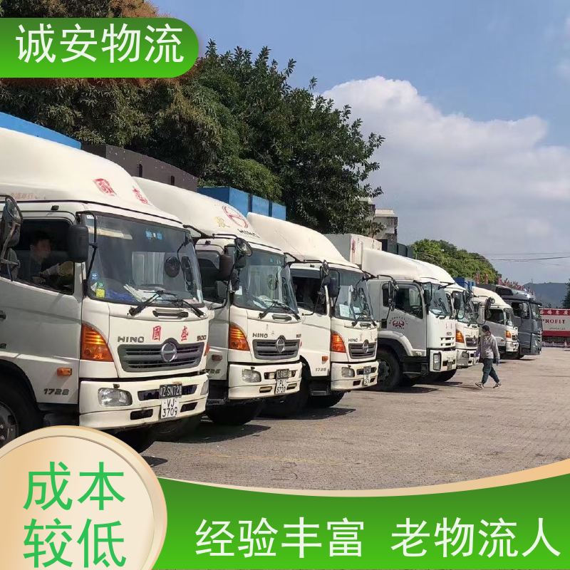 诚安物流12吨车河源到深圳一般贸易买单报关随时发车