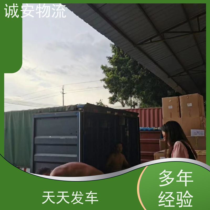 诚安物流45尺自备柜东莞到深圳一般贸易买单报关随时发车