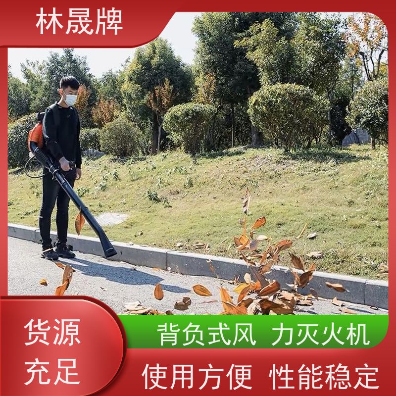 林晟牌 大棚落叶清理吹雪机 风机 携带方便 使用效果好 性价比高
