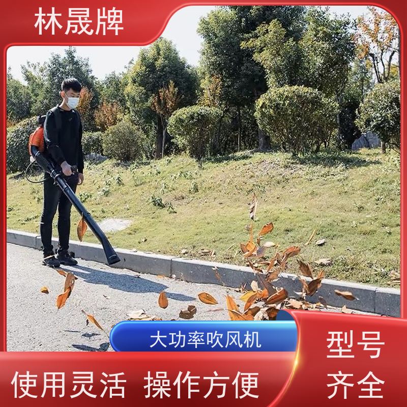 林晟牌 大功率风力灭火机 吹风机 性能稳定 接受定制