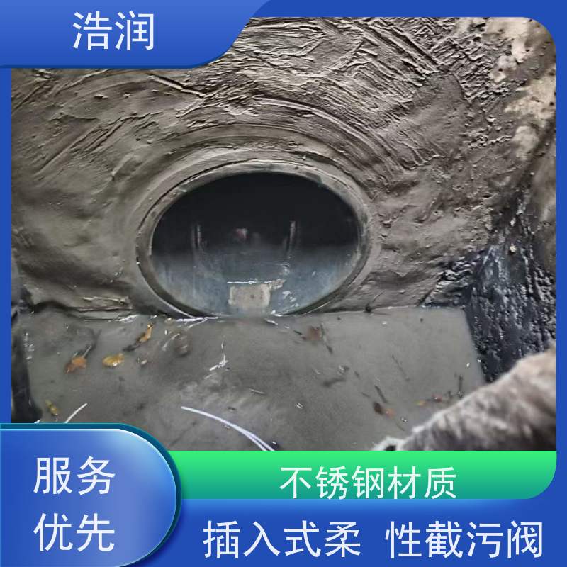 浩润 全国供应 管中型防倒灌器 处理污水量 10-8000m3/h 诚信经营