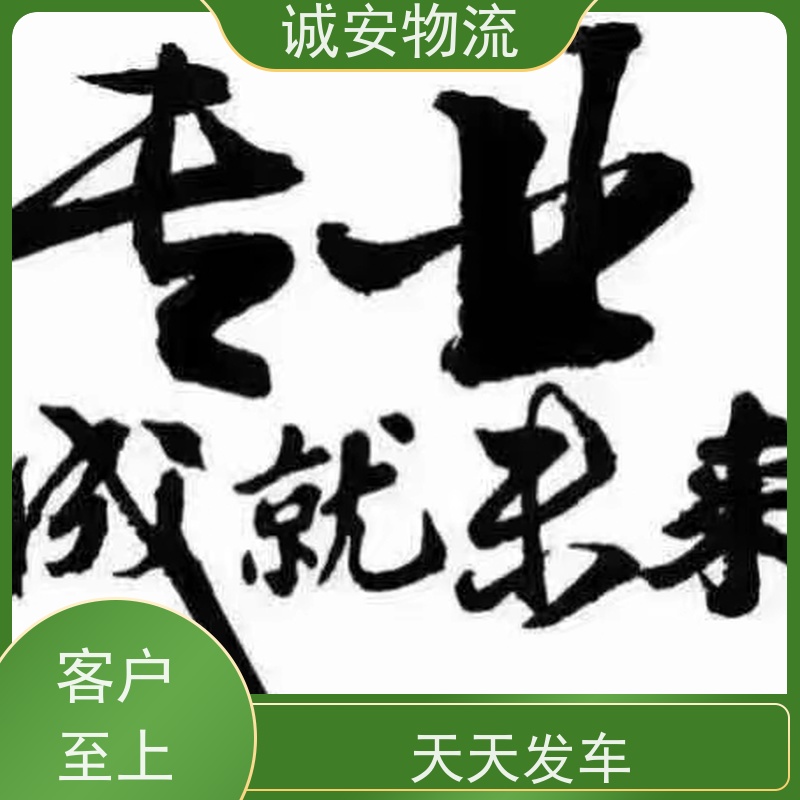 诚安物流40尺自备柜河源到东莞陆运送货到门隔天到