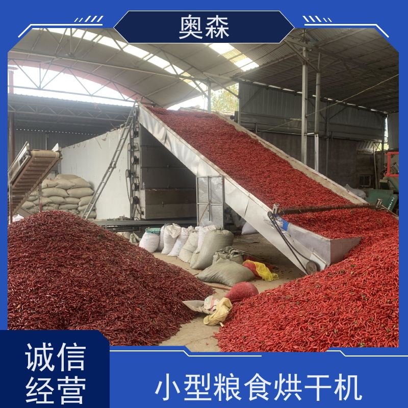 奥森 自动化干燥设备 网带式烘干机 兼容性强 性价比高
