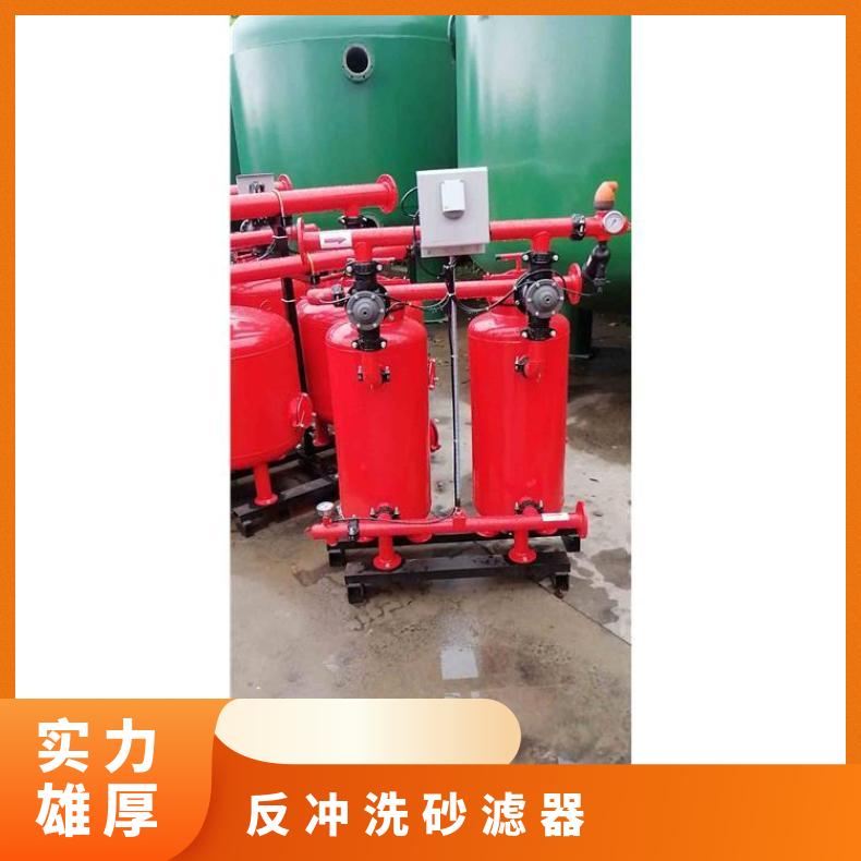 砂滤器 自动反冲洗石英砂过滤器规格尺寸 励进 工厂企业用水