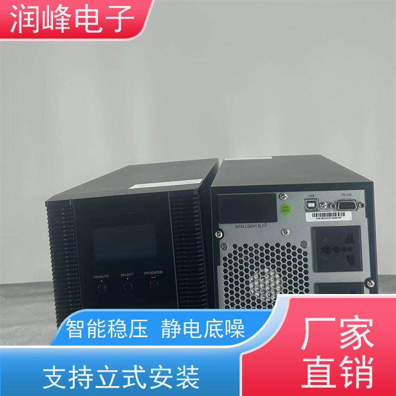 便携式 ups应急电源 高频在线式 接电池UPS不间断电源