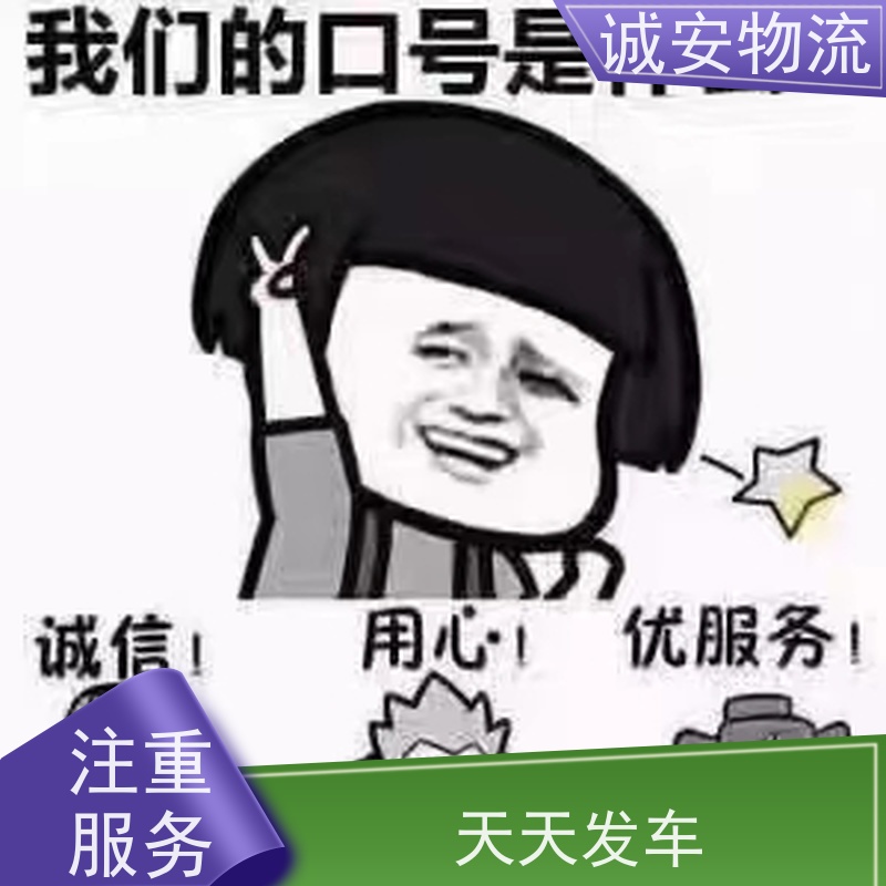 诚安物流45尺自备柜产地证CO速度快随时发车