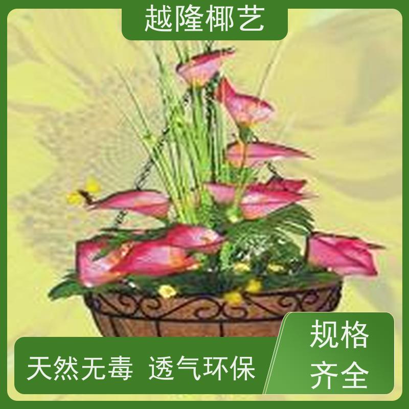 越隆椰艺 欧式风格 平底椰棕吊篮 外形美观 性价比高