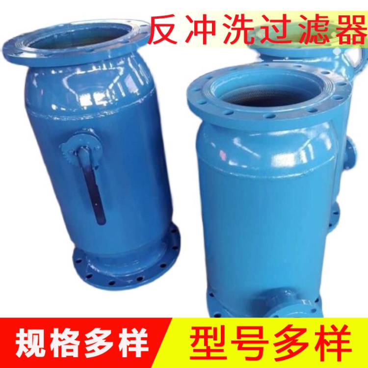 立式反冲洗过滤器 全自动排污过滤器