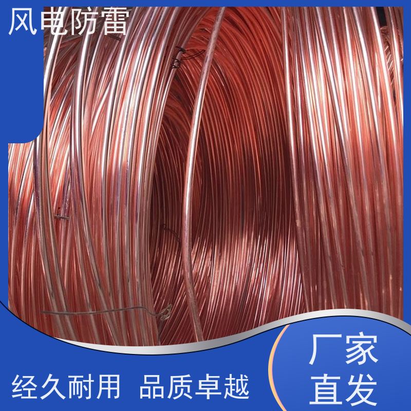 风电防雷 质量保障 可按需定做 非 金 属石 墨选材 铜包钢接地扁钢50*5mm