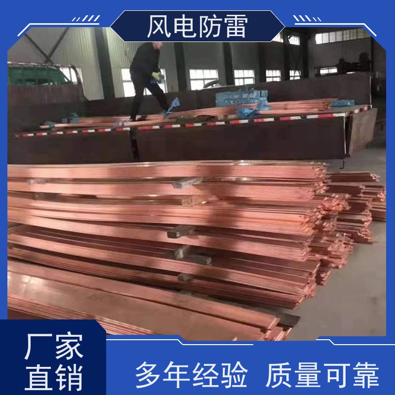 风电防雷 性能稳定 使用安全 特殊非 金 属材料 40*4mm镀铜扁钢
