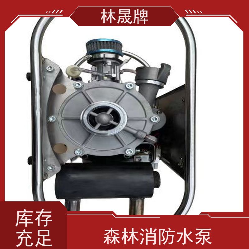 林晟牌 户外消防泵 手抬机动泵 流量6.9L/min 品质可信
