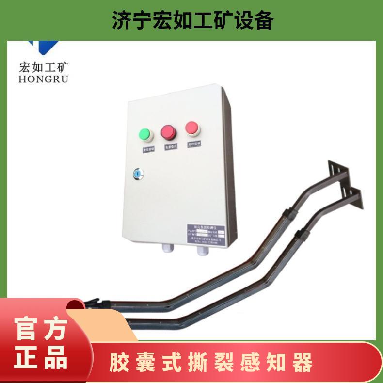 胶囊式感知器 JDSL1型式纵向监测装置 是 检测皮带撕裂 标准件