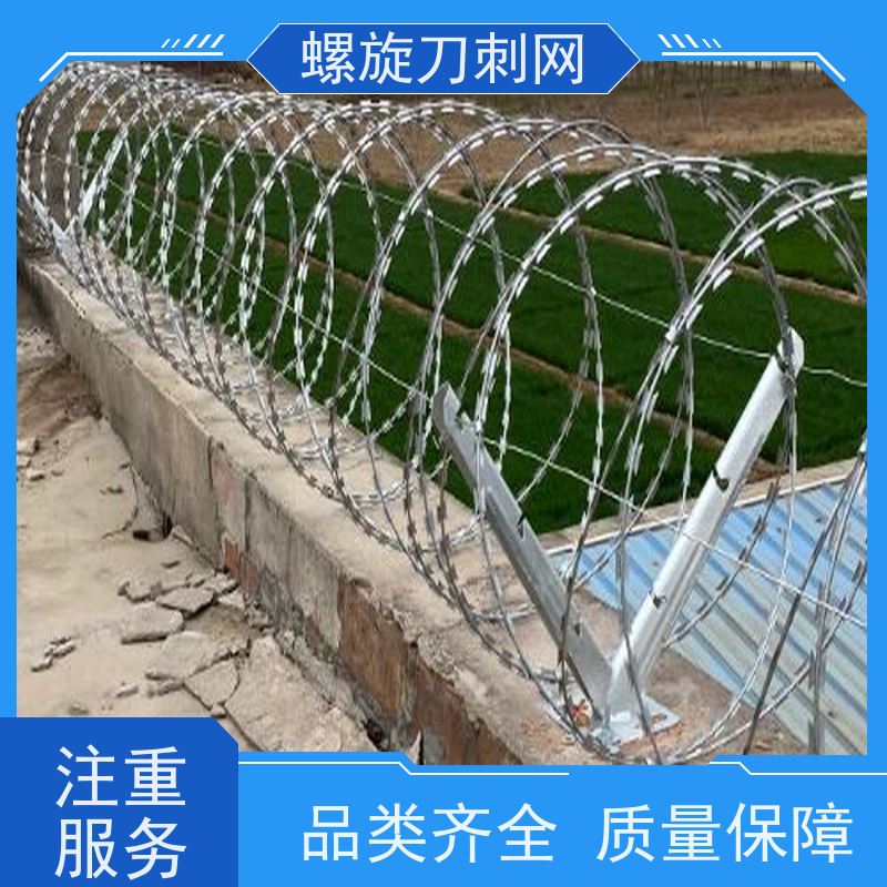 镀锌防攀爬滚刀刺小区学校防盗网刺丝滚笼颜色