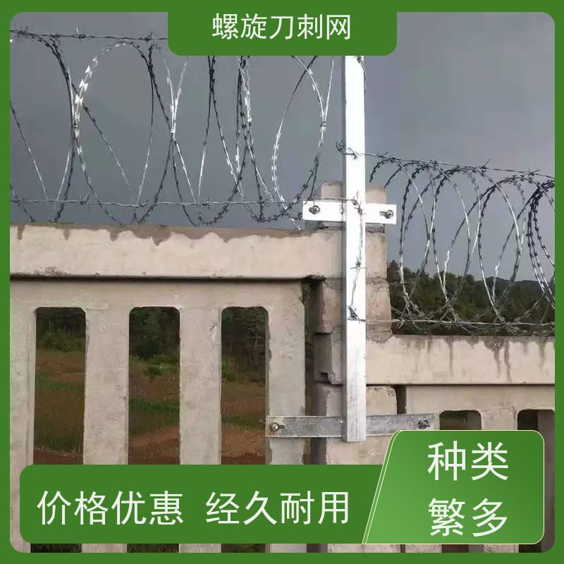 防护网带刺铁丝滚笼275g刀刺网刀片刺丝安装