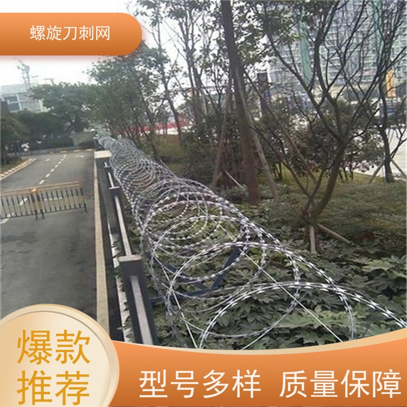 围墙防爬刺小区学校防盗网蛇蝮式刺丝滚笼刺网材质