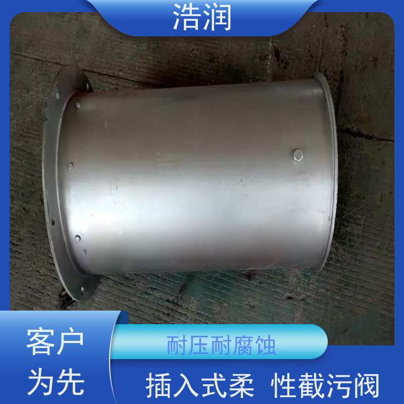 浩润 长期供应 不锈钢管中型内置防倒灌器 耐压耐腐蚀 货源充足