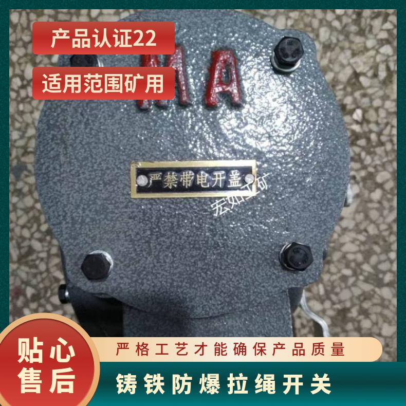 铸铁防爆拉绳开关 EX双向 矿用 否 HR/宏如 220V 5A