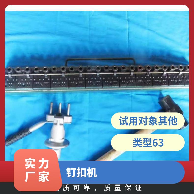 RV6捶打式钉扣机 63 HR/宏如 皮带机 中国 其他 XH5080ADSL3I 通