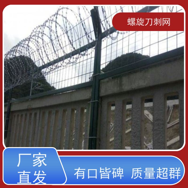 防护网带刺铁丝滚笼275g刀刺网围墙防爬拉力刮刀防盗网颜色