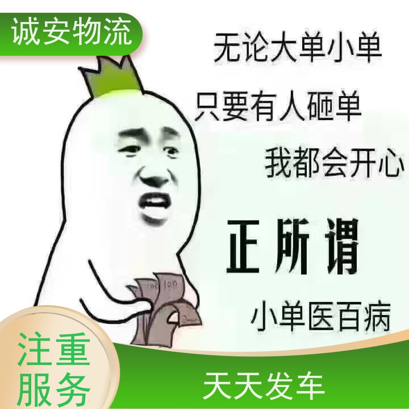 诚安物流12吨车佛山出口申报效率好随时发车