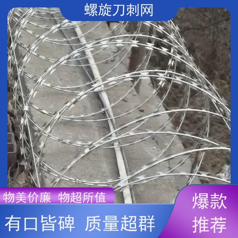 镀锌防攀爬滚刀刺小区学校防盗网刺丝滚笼材质