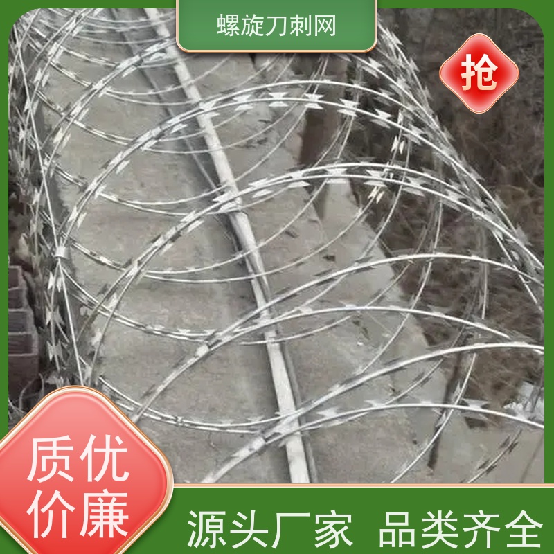 围墙防爬刺防攀爬铁蒺藜蛇蝮式刺丝滚笼刺网材质