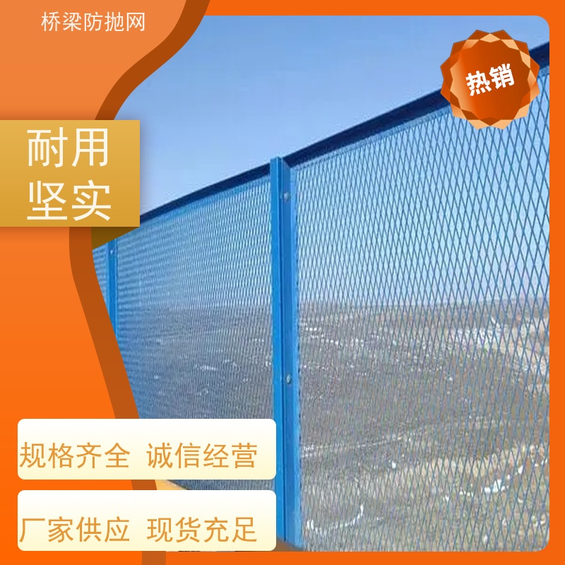桥梁防护网公跨铁隔离栅立交桥防抛网浸塑防眩网