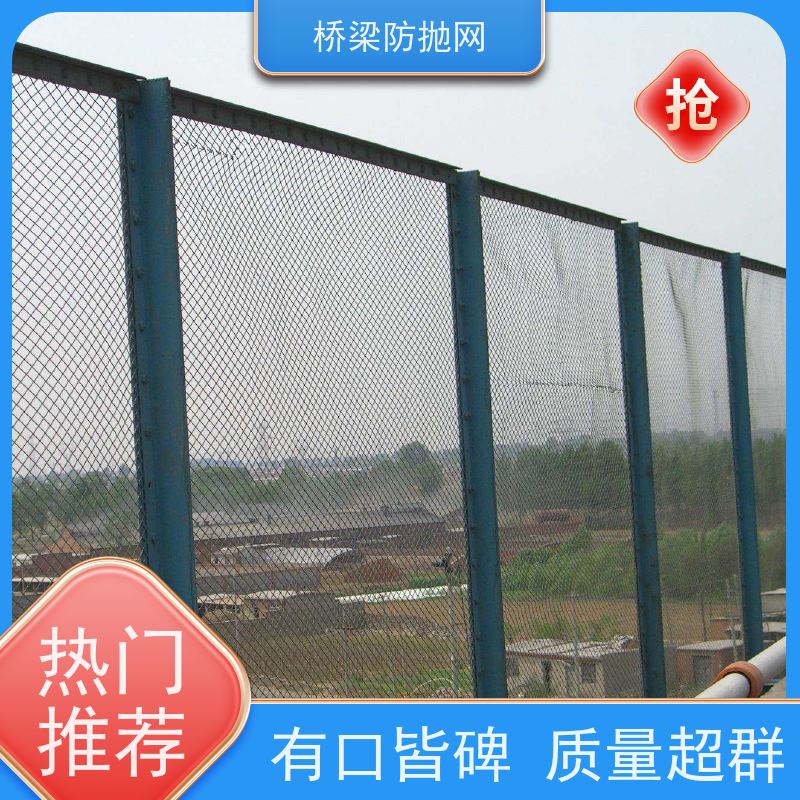 高架桥防抛网公跨铁隔离栅浸塑菱形防落物网高速防眩网