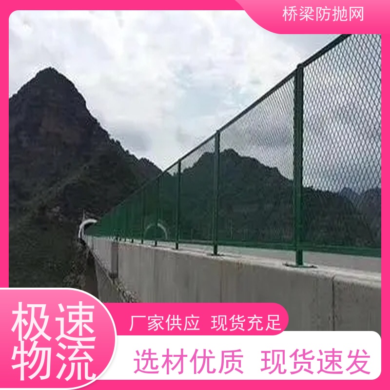 大桥防抛护栏高架桥围栏网桥梁桃型柱防护网浸塑防眩网
